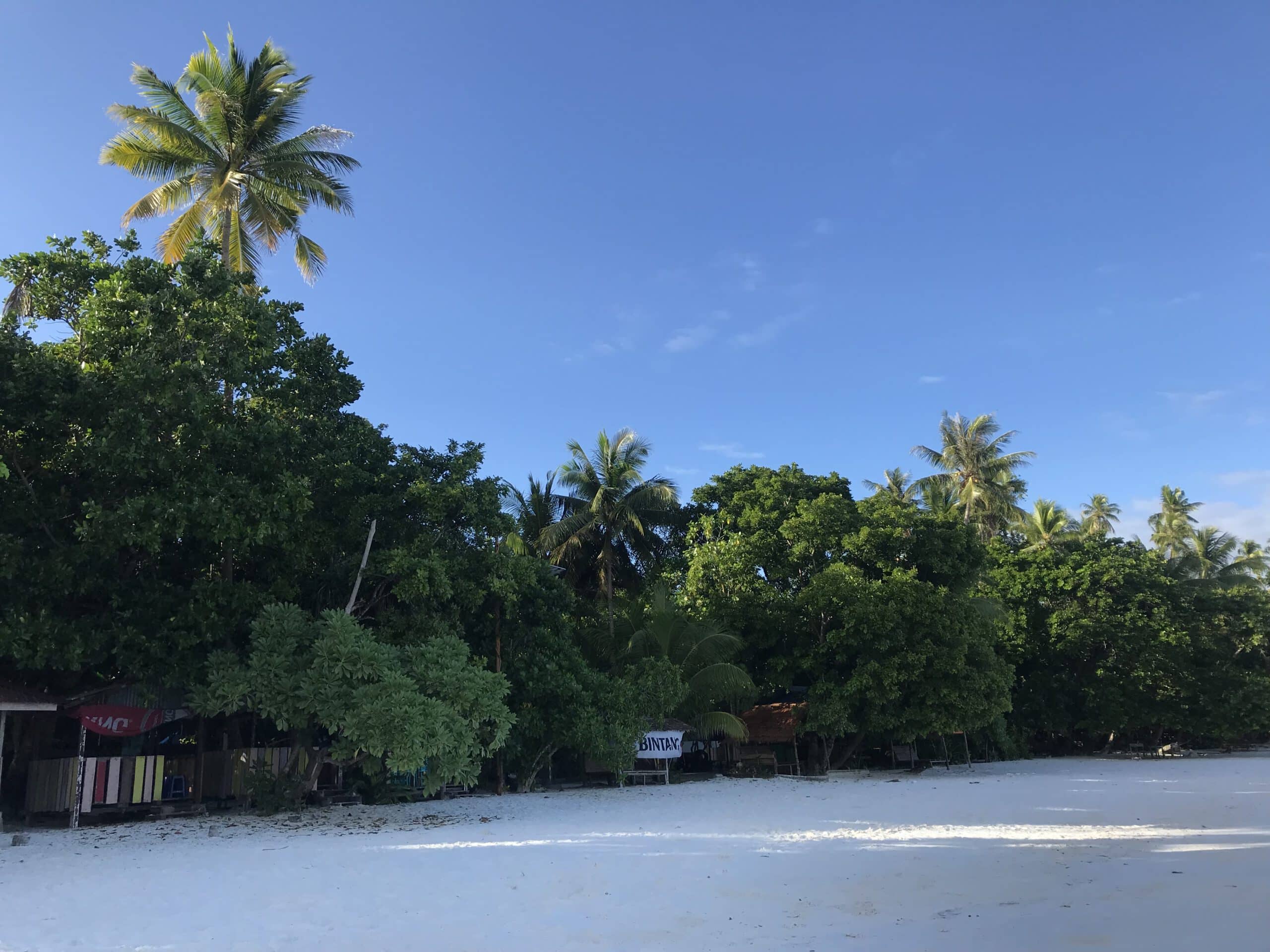 307df5b9a5e24a90851f3ec91fd3031fbad65728