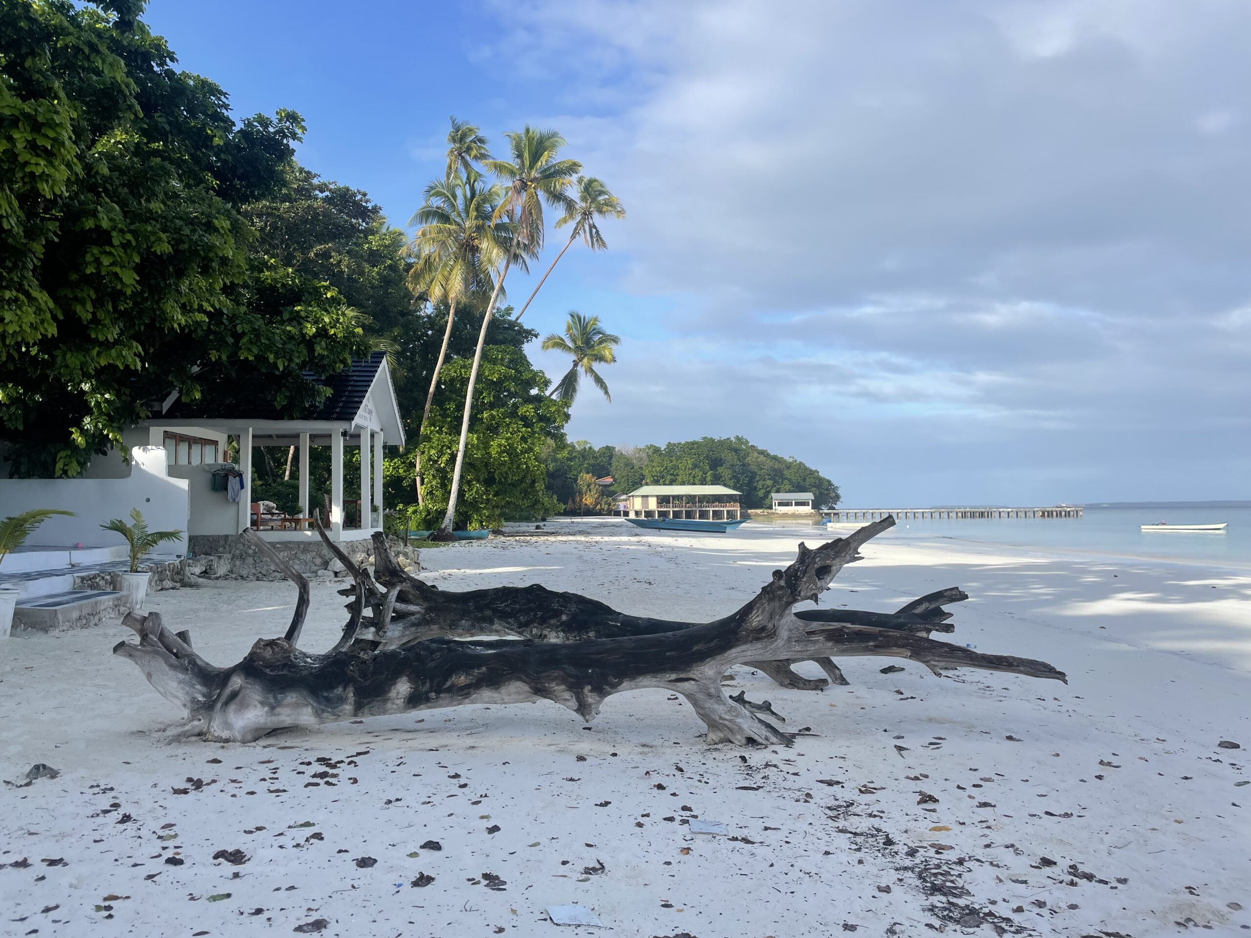 93dd1395878efda3e9013282bcb5e27485d920c8