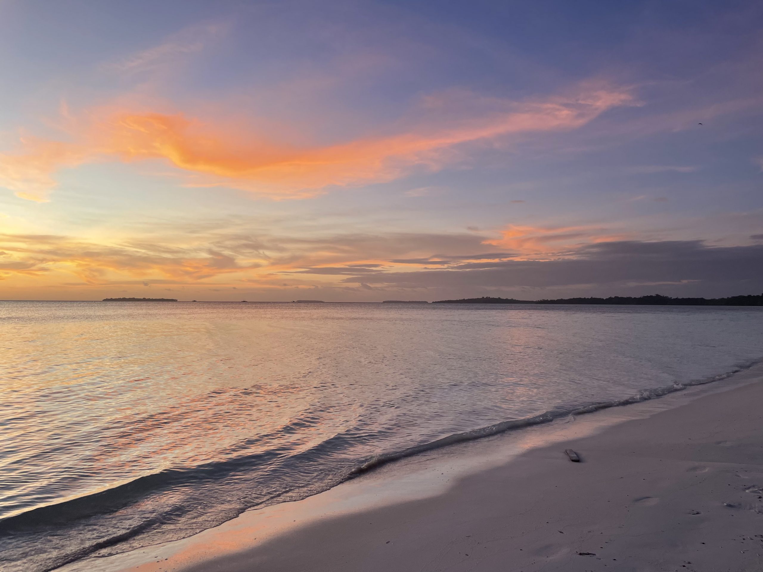 d3875e9afac8d1ca52fa734914237573c846cca4 (1)